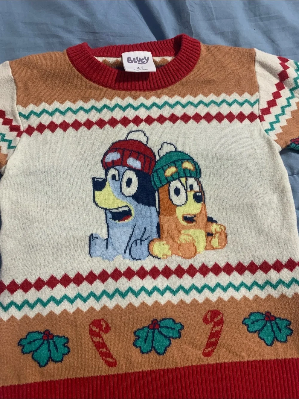 Bluey cozy kids